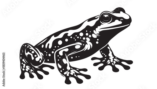 frog silhouette vector illustration, solid white background