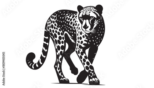 leopard silhouette vector illustration, solid white background