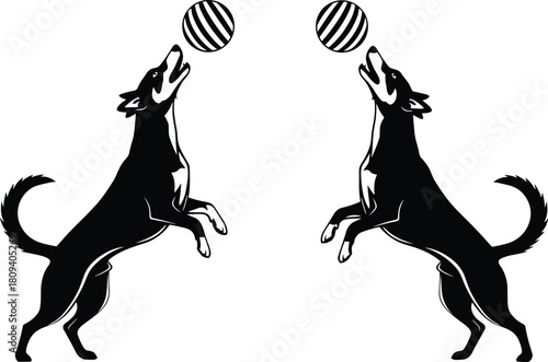 Symmetrical illustration of two black dogs jumping high to catch striped geometric balls, playful animal mirror vector, training, and dynamic action graphic.
