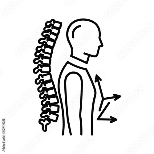 Human spine and torso outline with directional arrows, illustrating posture, movement, and anatomy, isolated on white