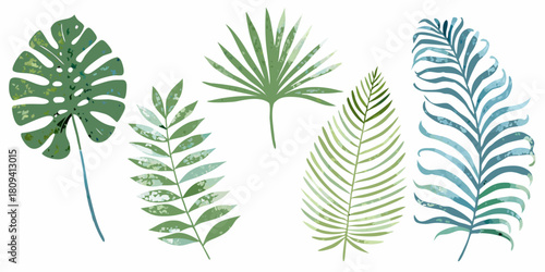 Watercolor tropical leaves collection on white background for design projects