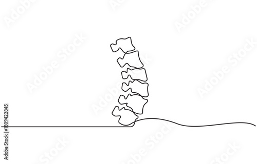 Continuous one line drawing of human spine, single line art vector illustration, editable stroke isolated on transparent background.