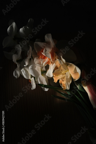 Narcissus in dark background light up with natural light
