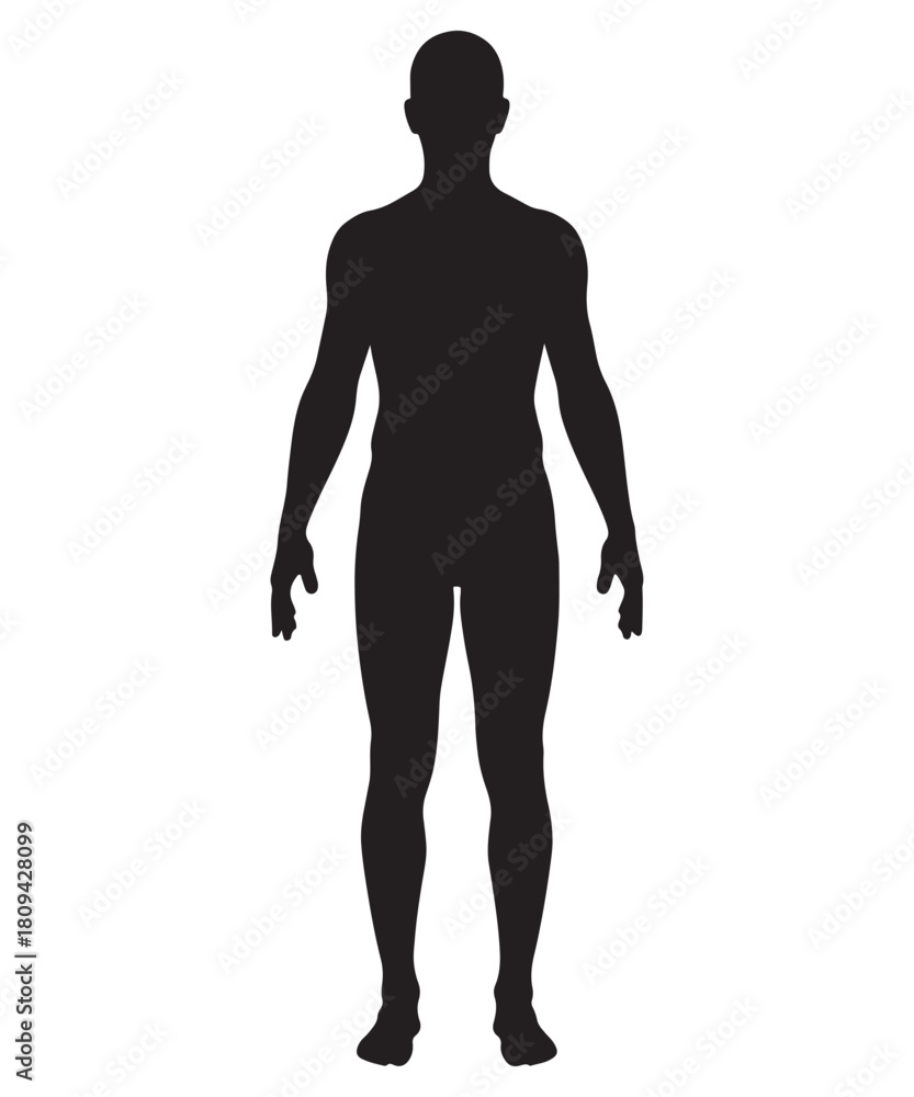 Fototapeta premium Full body human male silhouette standing front view silhouette