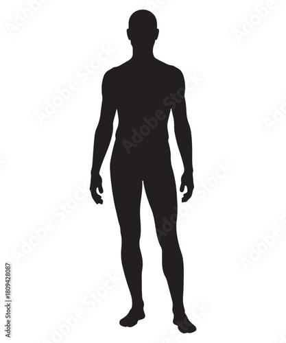 Full body male human silhouette standing confidently against white background