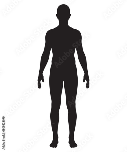 Full body human male silhouette standing front view silhouette