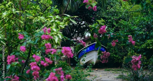 boat nestled among pink bougainvillea in overgrown garden, weathered hull half-hidden by vivid petals and lush