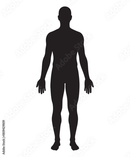 Full body human silhouette standing facing forward silhouette