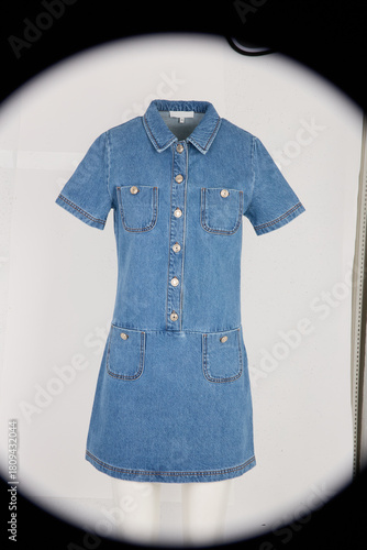 Quadro su tela Short sleeve denim dress with button front and pockets