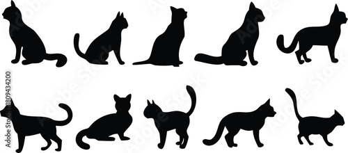 set of silhouettes of cats