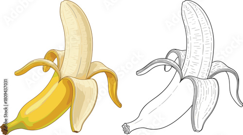 Realistic Vector Illustration of a Ripe Yellow Banana Partially Peeled, Perfect for Food, Healthy Eating, Tropical Fruit, and Diet Concepts.