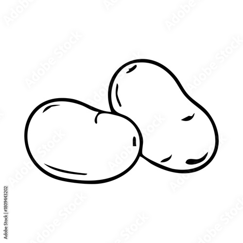 Two freshly harvested potatoes graphic element for your healthy eating needs