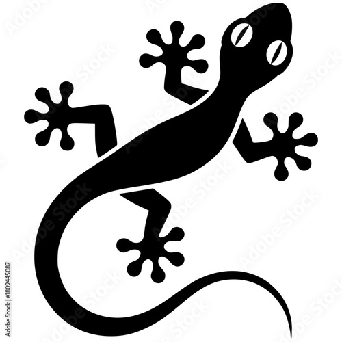 gecko