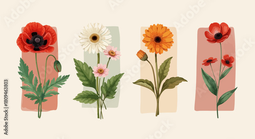 Watercolor painting of vibrant poppies and daisies in a vintage botanical style