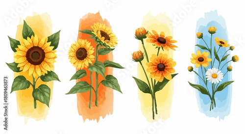 Watercolor sunflowers and daisies collection in vibrant yellow and white flowers