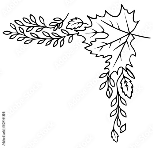 Black corner ornament with trailing maple leaves and branches