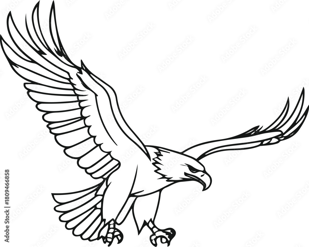 Obraz premium Minimalist flying eagle line art, wings spread wide, clean black outline on white background, elegant vector style