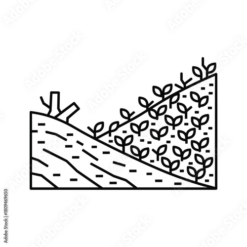 Soil erosion control and reforestation with new plants growing on slope