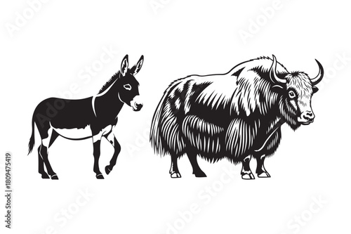 Black and white illustration of a donkey and a yak side by side