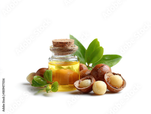 Natural Macadamia and Almond Oil in Glass Bottle with Leaves for Spa and Wellness