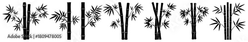 Set of Hand Drawn Vector Bamboo Stalks and Leaves in Asian Style