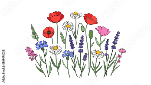 A flat illustration of a variety of wildflowers