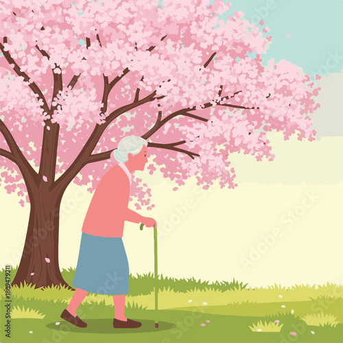 Woman walking peacefully, with cherry blossom in springtime, depicts senior woman going. Cherry blossom offers a scenic backdrop as she strolls leisurely through park, enjoying its beauty.