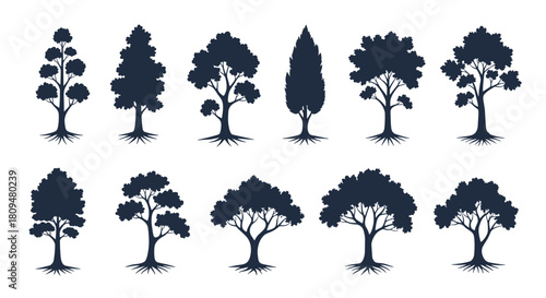 Collection of twelve different black tree silhouettes with visible root systems isolated on a simple white background for design.