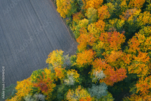 Aerial View of Autumn Forest and Plowed Field