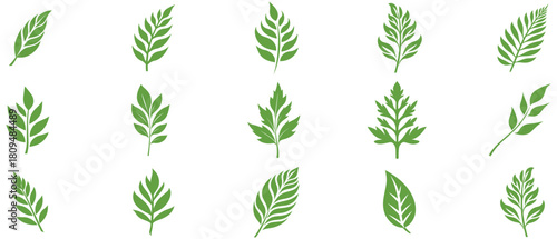 Green Leaf icon shape fresh flat vector design.