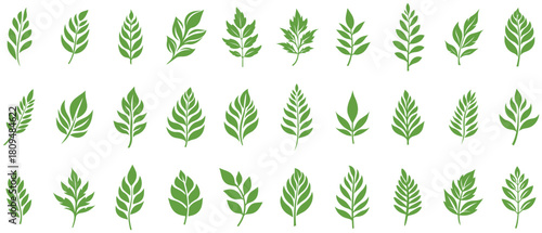 Green Leaf icon shape fresh flat vector design.