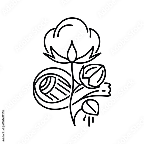 Cotton plant with flower, bud, and yarn ball, natural fiber illustration