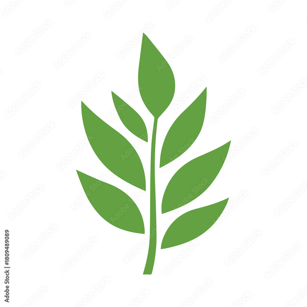 Fototapeta premium Green Leaf icon shape fresh flat vector design.