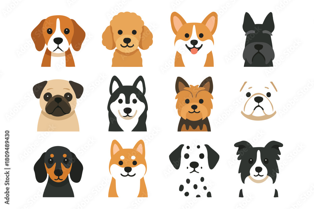 Fototapeta premium Collection of cute dog breed faces in cartoon style.