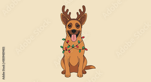 Dog dressed as reindeer with Christmas lights.