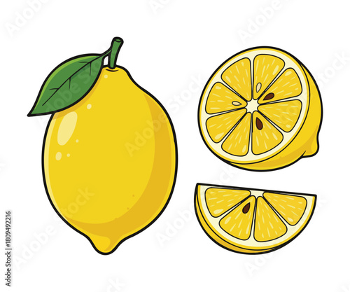 Yellow Lemon Citrus Vector Illustration, Whole, Half and Slices Isolated on White Background