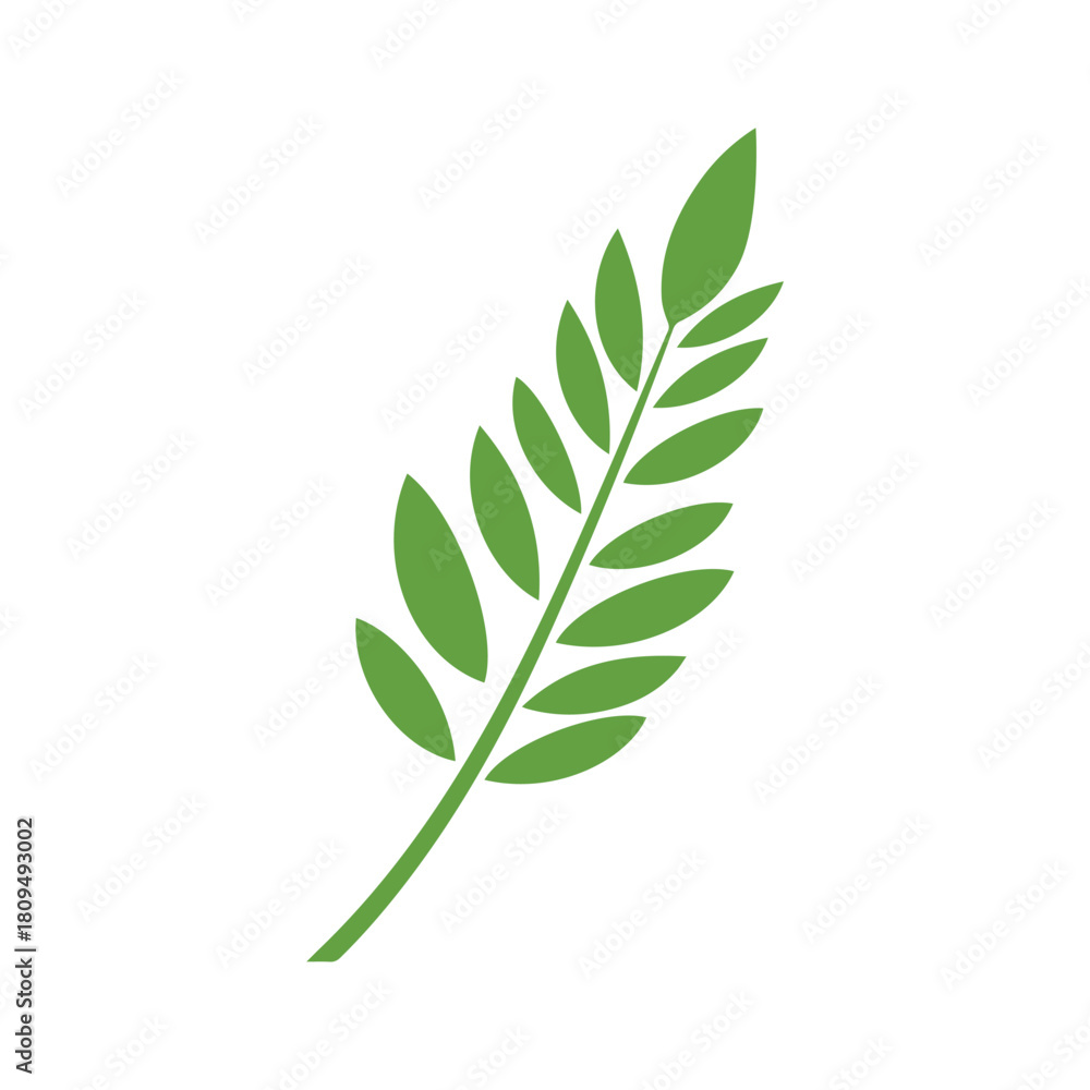 Fototapeta premium Green Leaf icon shape fresh flat vector design.