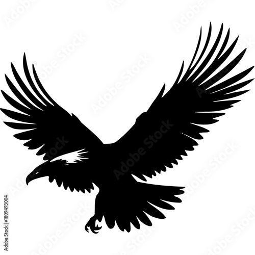 Eagle silhouette flying vector illustration bird of prey majestic wings