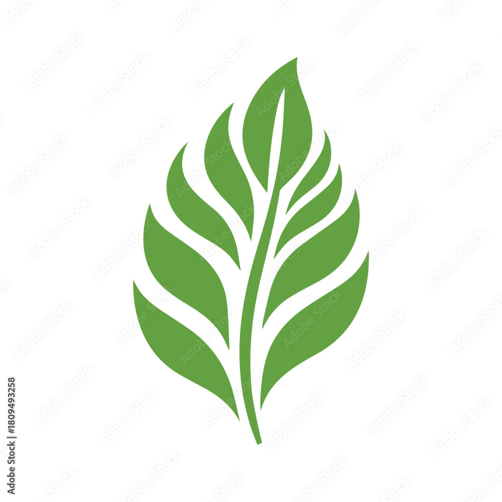 Fototapeta premium Green Leaf icon shape fresh flat vector design.