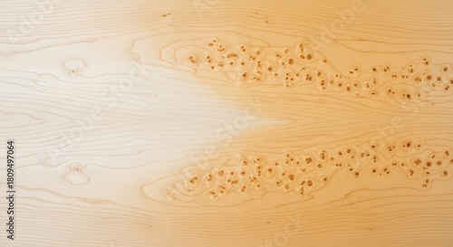 Fototapeta Naklejka Na Ścianę i Meble -  sand dunes on the beach