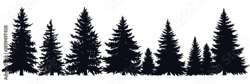 Silhouettes of varied fir and spruce trees in horizontal row black vector illustration flat minimalist conifer forest outline on white background nature design