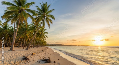 Fototapeta Naklejka Na Ścianę i Meble -  palm tree on the beach