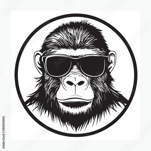 gorilla with sunglasses