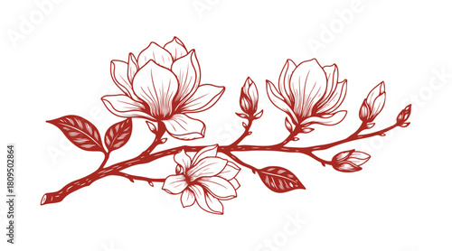 Elegant vector sketch of a blooming magnolia branch, isolated on white for design projects.