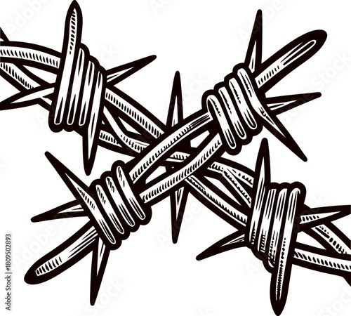 Hand drawn barbed wire closeup black and white engraving vintage sketch illustration
