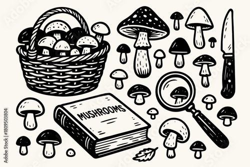 Mushroom Foraging and Identification Icons