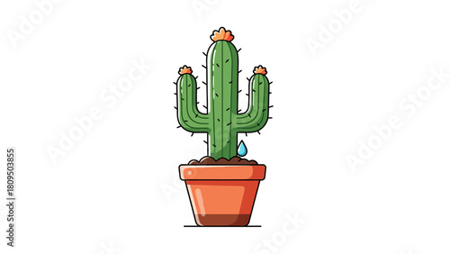 Potted cactus with orange flowers and a water droplet
