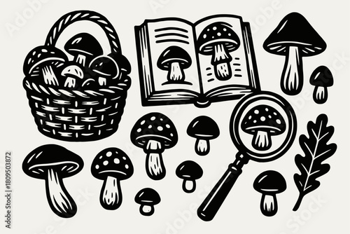 Mushroom Foraging Icons Set