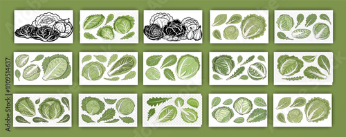 A collection of fresh green cabbages and lettuce arranged against a transparent background. The image showcases a variety of shapes and sizes, with whole cabbages and cut lettuce leaves scattered acro