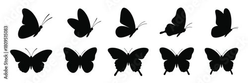 Butterflies flying black silhouette set isolated on white background,